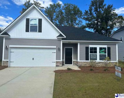 3861 Panther Path (Lot 87), Timmonsville