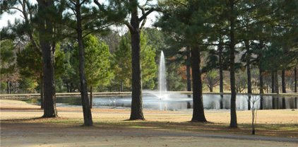 2597 E Joyce Boulevard, Fayetteville