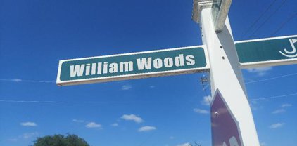 LOT 448 Williams Wood, Blanco