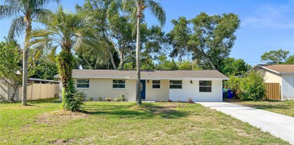 1536 Indiana Avenue, Palm Harbor