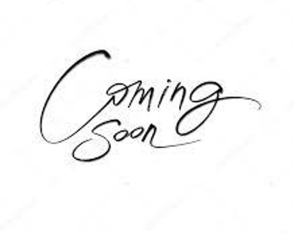 1700 Overlook Dr, Silver Spring