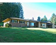 21213 NE 399TH ST, Amboy image