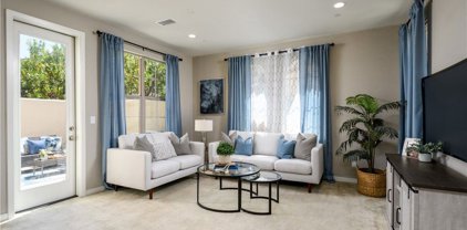109 Tubeflower, Irvine