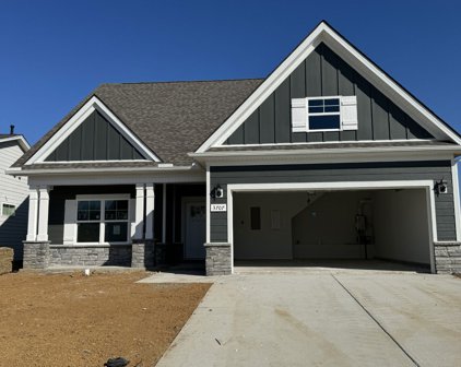 3707 Stormy Lane, Rockvale