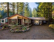 30505 NE OLSON RD, Yacolt image