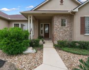 256 Red Poppy Trail, Georgetown image