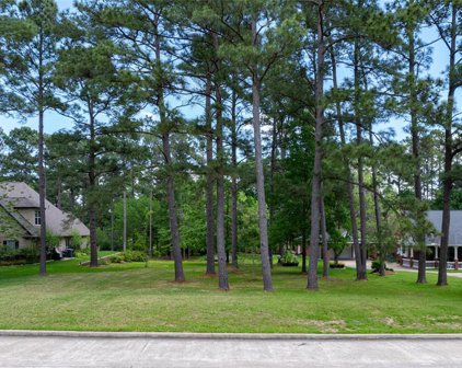 12868 Aries Loop, Willis