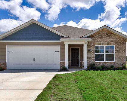 219 Chubbs Lane, Owens Cross Roads