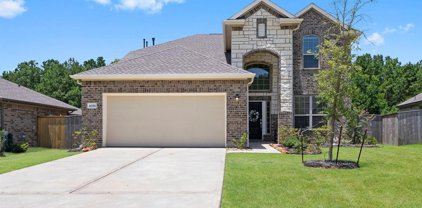 6056 Heritage Creek Lane, Conroe