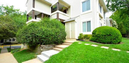 10330 Luria Commons Ct Unit #3 I, Burke