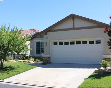 1169 Bacchini Ln, Brentwood