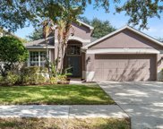 11227 Avery Oaks Drive, Tampa image