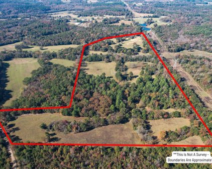 TBD CR 4250, Mt Vernon