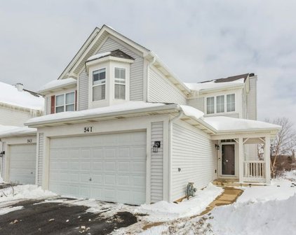 541 Peregrine Parkway Unit #541, Bartlett