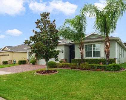 3532 Litchfield Court, Clermont