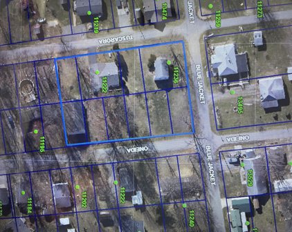 11222 Tuscarora Path, Lakeview