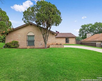 7641 Antique Oak St, Live Oak