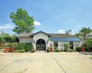 1003 Briarmead Drive Drive, Houston image