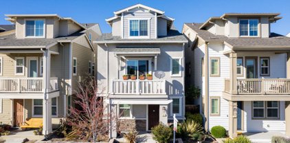 49 Kennedy Avenue, Campbell