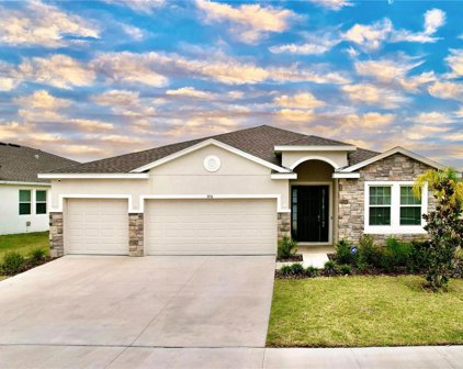 3716 Autumn Amber Drive, Spring Hill