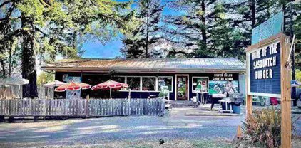 172 Silver Falls Dr