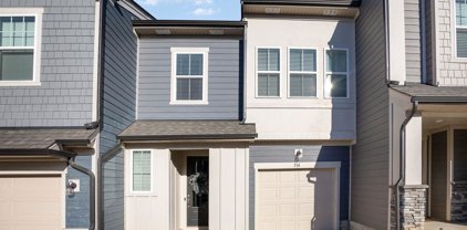 514 Madison Falls  Court, Fort Mill