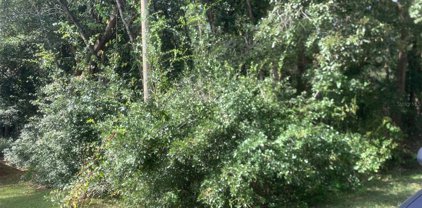 1370 Homosassa Drive, Kissimmee
