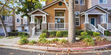 4857 Mangrove Dr, Dublin