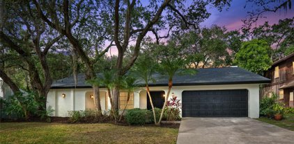 60 Bay Woods Drive, Safety Harbor