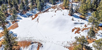 3305 Timbergate Trail, Evergreen