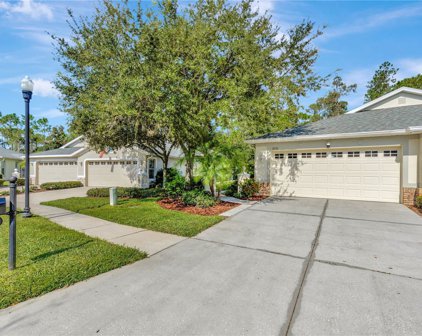 3250 Chapel Creek Circle, Wesley Chapel
