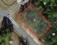 9239 N Marcus Way, Dunnellon image