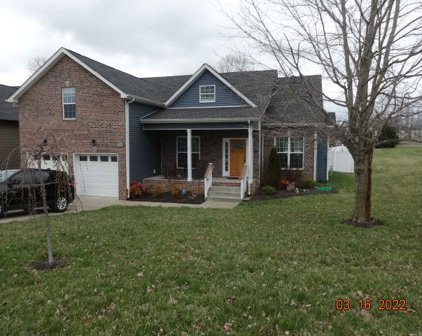 102 Josie Dr, Pleasant View