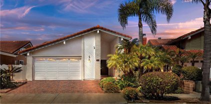 25215 Perch Drive, Dana Point