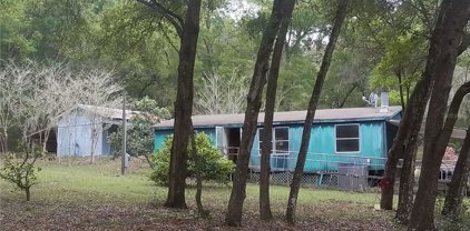Ocklawaha