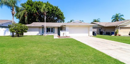 2372 Willow Tree Trail, Clearwater