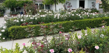 321 W Linden Ave, Burbank