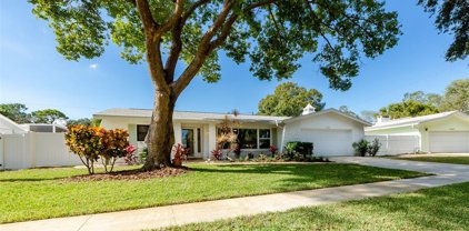 1028 Chinaberry Road, Clearwater