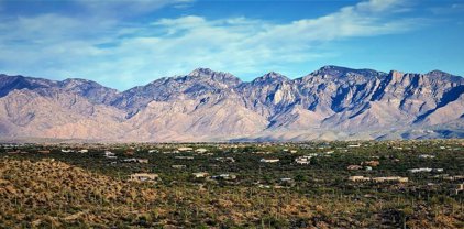 14219 N Gecko Canyon, Oro Valley