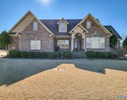 22354 Troon Drive, Athens image