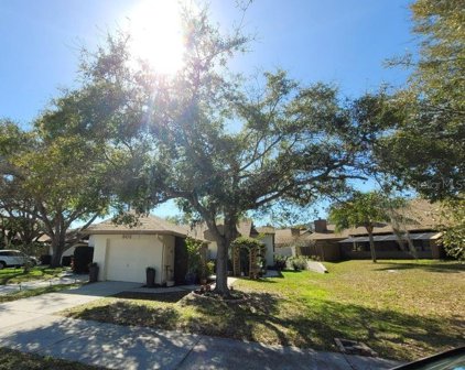 302 Parkside Lane, Safety Harbor