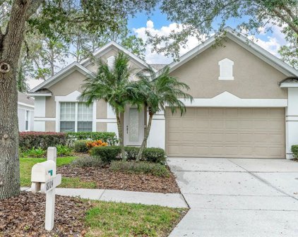 18104 Hamden Park Way, Tampa