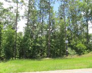 3960 Essex Heights Court, Fortson image