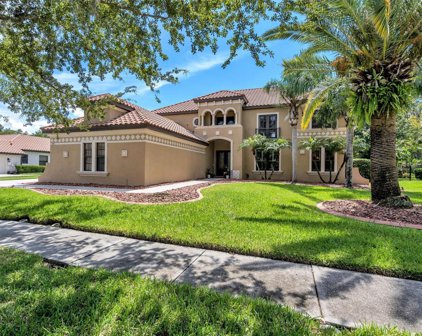 3551 Ballastone Drive, Land O' Lakes