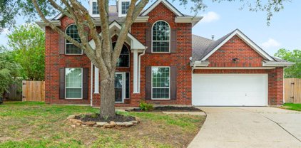 1505 Hickory Court, Pearland