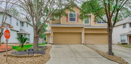62 S Camellia Grove Circle, The Woodlands