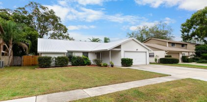 15707 Pony Place, Tampa