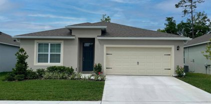 3410 Sabatia Lane, Poinciana