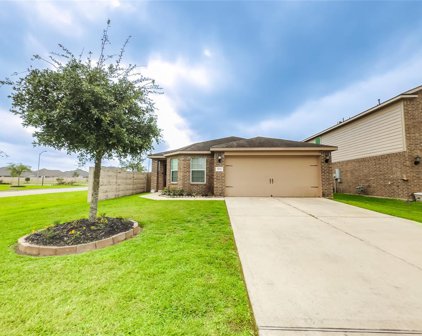 1822 Opal Peach Drive, Rosharon