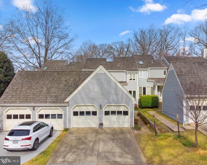 1317 Wedgewood Manor Way, Reston